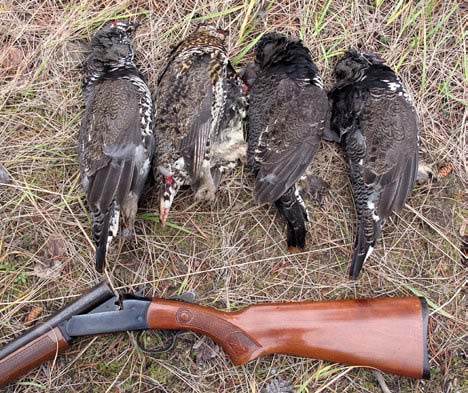 grouse-hunting