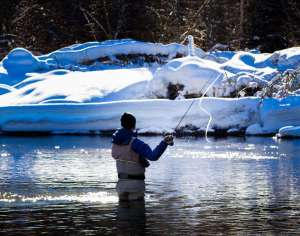 salmo-river-angler