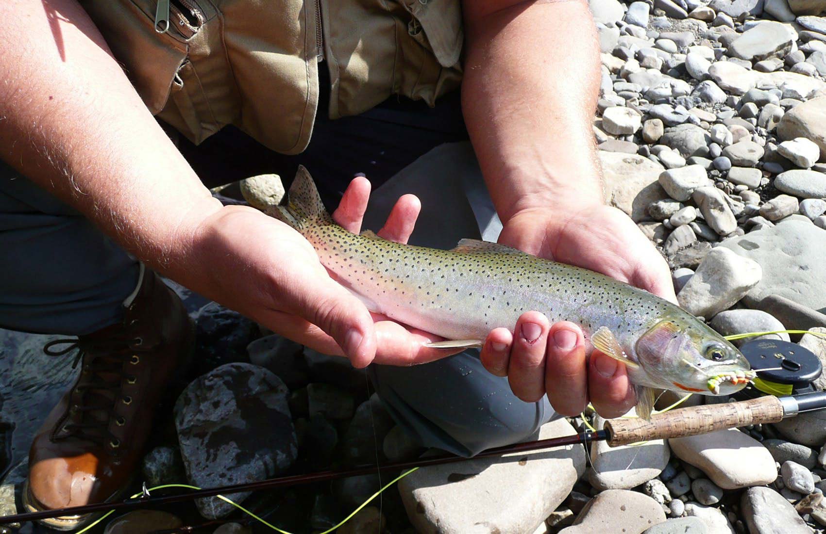 Backcountry Trout - North American Outdoorsman