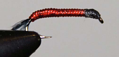 Larva Lace Bloodworm