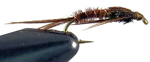 Pheasant Tail Mayfly Nymph