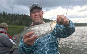 freshwater-piranha-goldeye