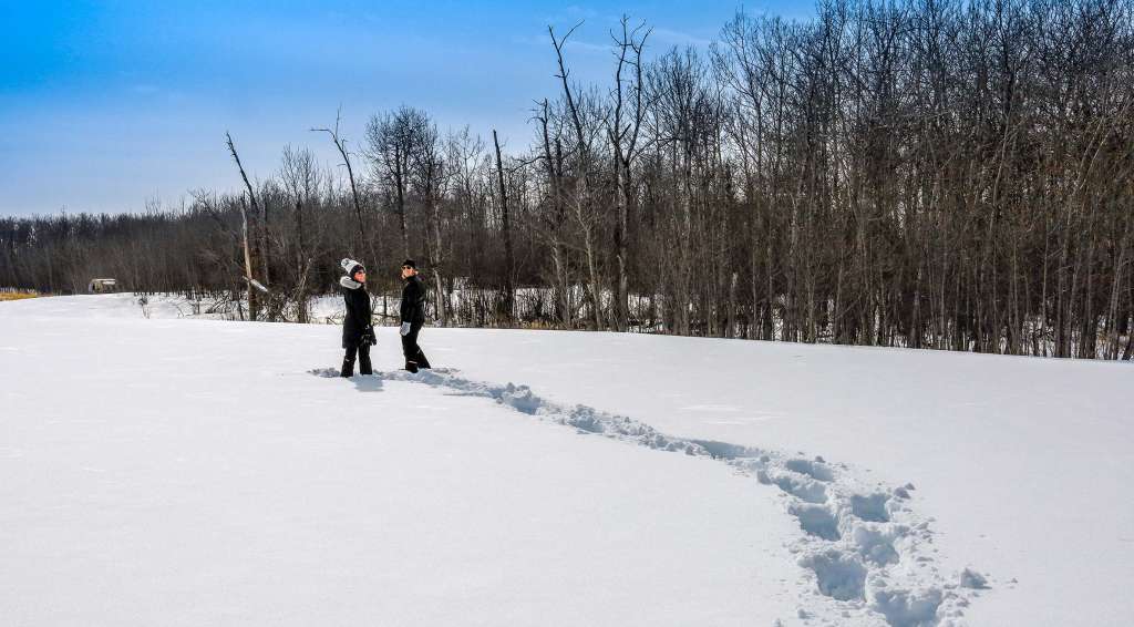 family-snowshoeing