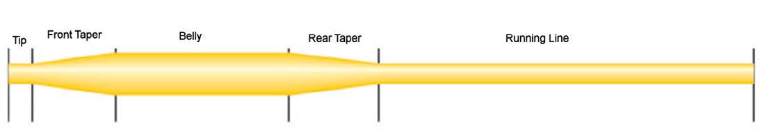 Weight Forward Line Taper.