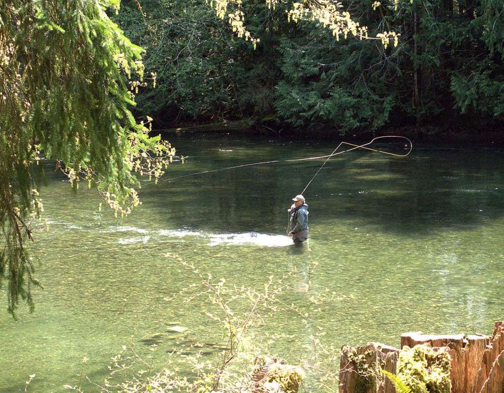 fly-fishing