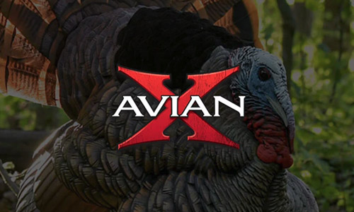 avianx