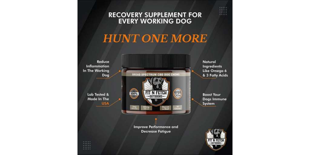 Recovery & Joint Dog Supplement from Fit N Fetch Outdoors