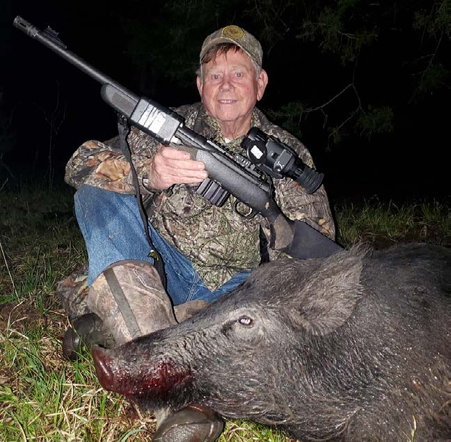 hog hunting at night
