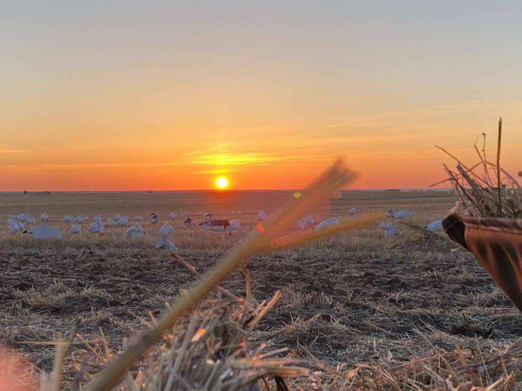 For Goose Hunters, the Best Kind of Snowstorm