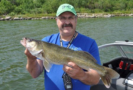 walleye