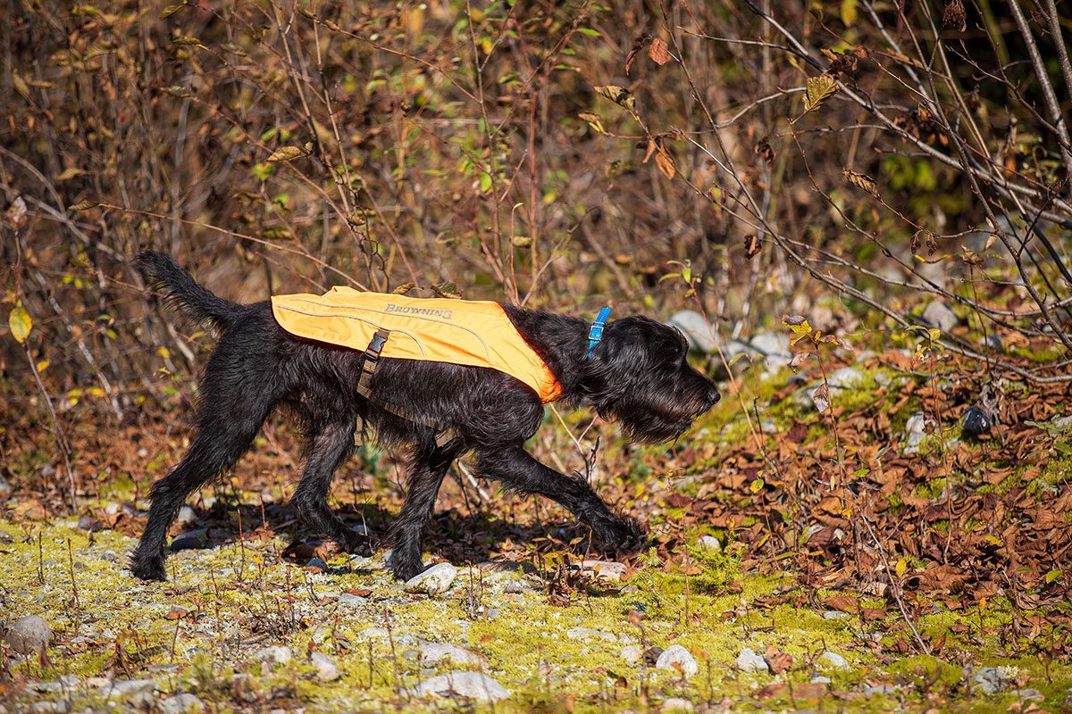 The Benefits Of Dress Up Days North American Outdoorsman