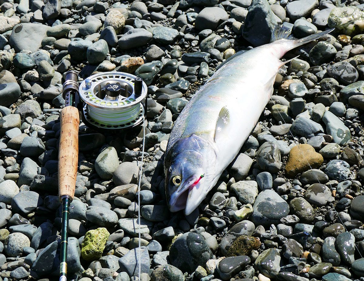 Pink-Salmon-with-Chartreuse-Bead-HEad-Pink