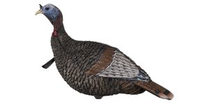 turkey decoy