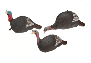 turkey decoys