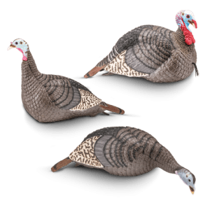 turkey decoys