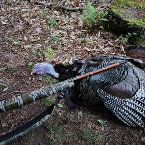 successful turkey hunt