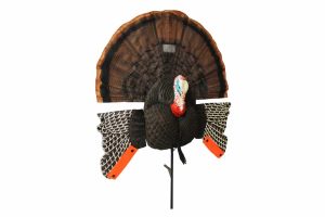 turkey decoy