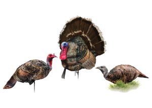 turkey decoys