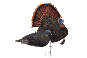 turkey decoys