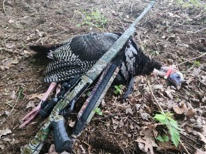 Turkey hunt success