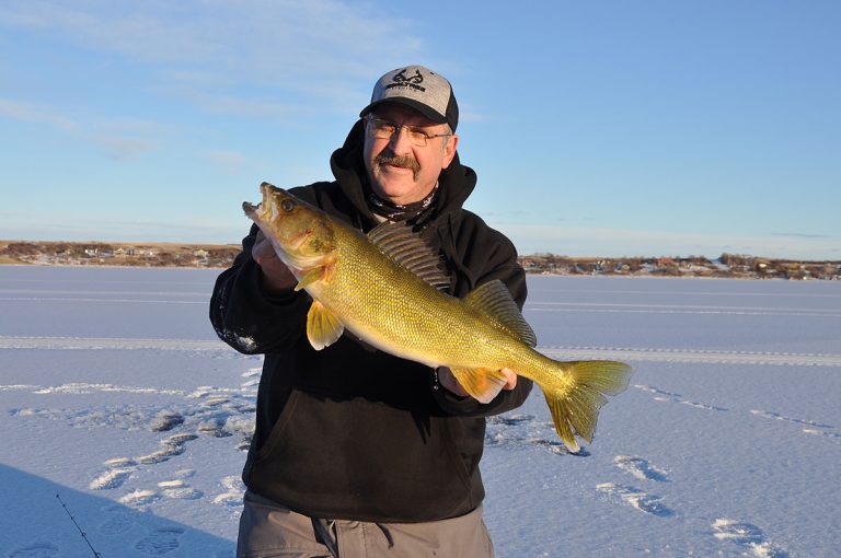 walleye