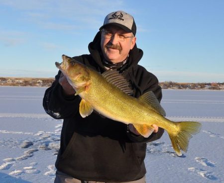 walleye