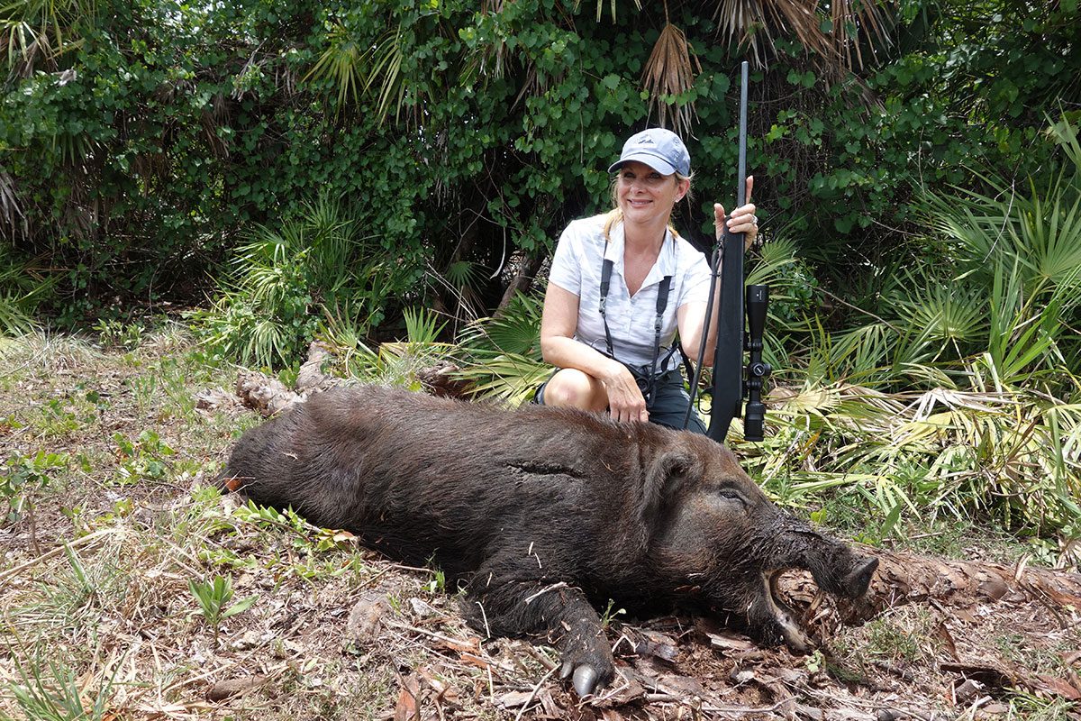 Florida wild boar