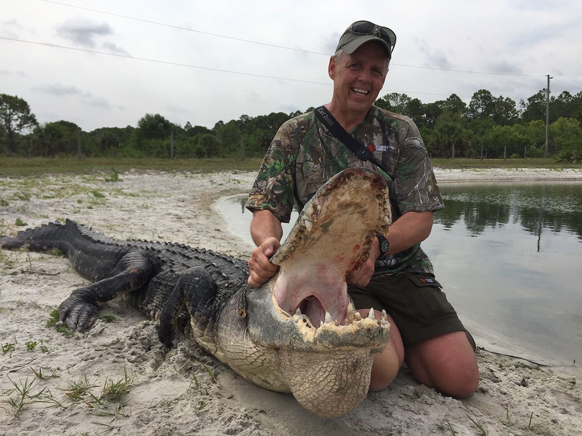 Author with Florida alligator