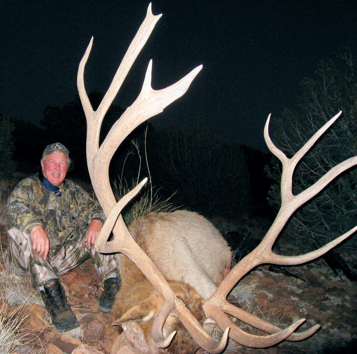 Arizona elk taken on draw hunt