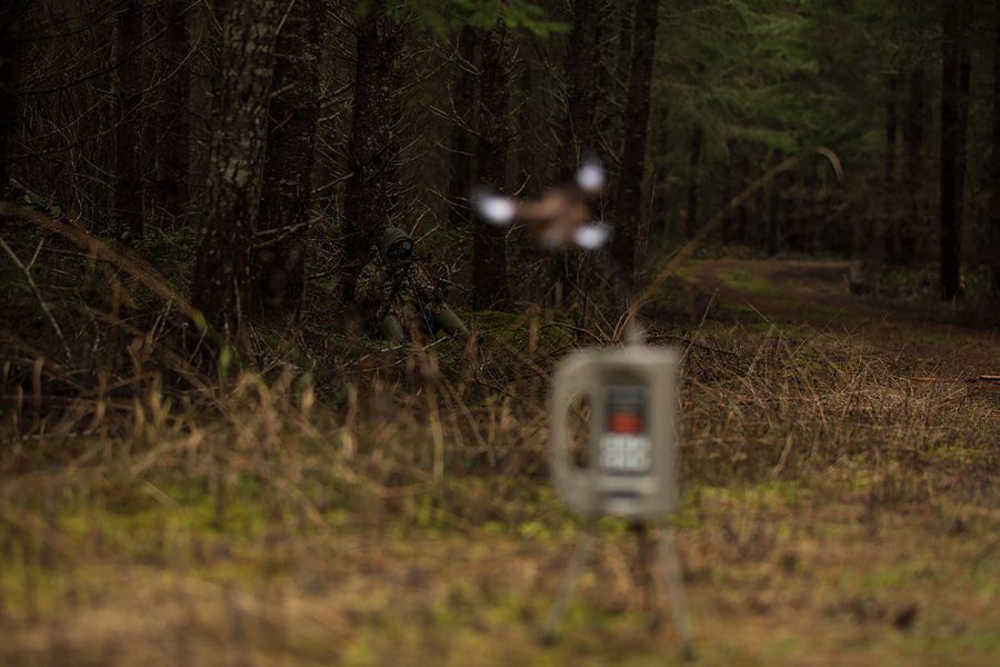 Wind Calling Predators Strategic Calling and Camera Tactics for Predator Hunting in the West ...