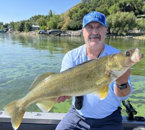 how to catch walleye in the weeds