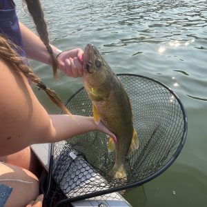 fishing for walleye in weeds