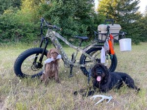 Dogs in the field wiht an e-bike