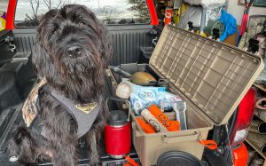 MTM Mule dog gear storage crate