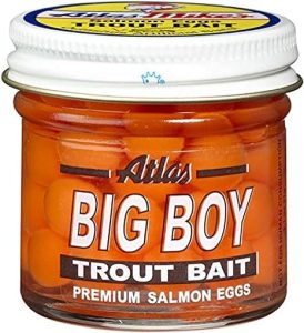 Best Salmon Eggs for Trout 