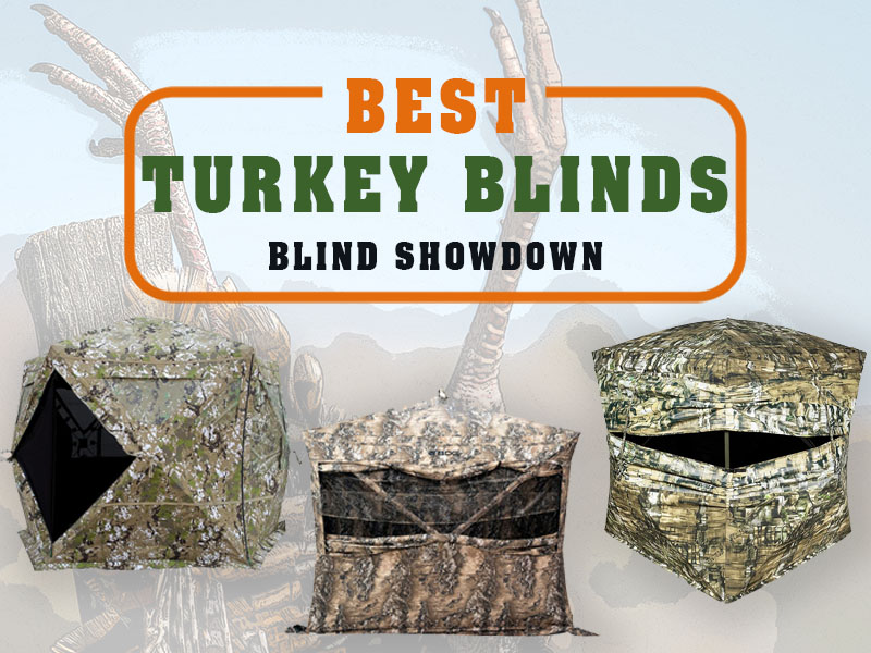 Best Turkey Blinds