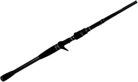 The 8 Best Bass Rods of 2026: Tested and Reviewed