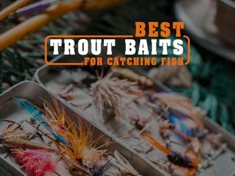 The 10 Best Baits for Catching Trout - North American Outdoorsman