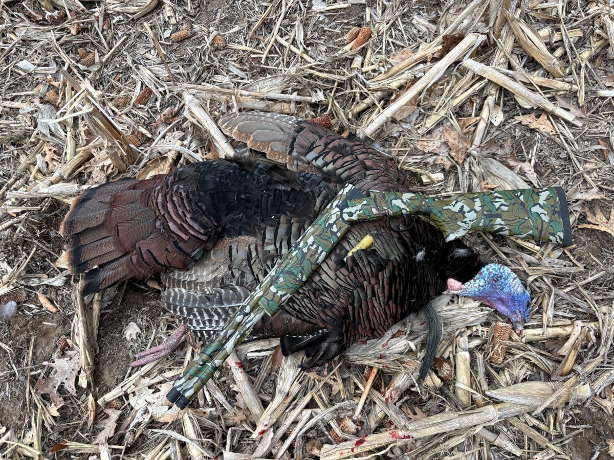 The Best Elk Hunting Boots on The Market Today - North American Outdoorsman The Best Elk Hunting Boots on The Market Today - North American Outdoorsman