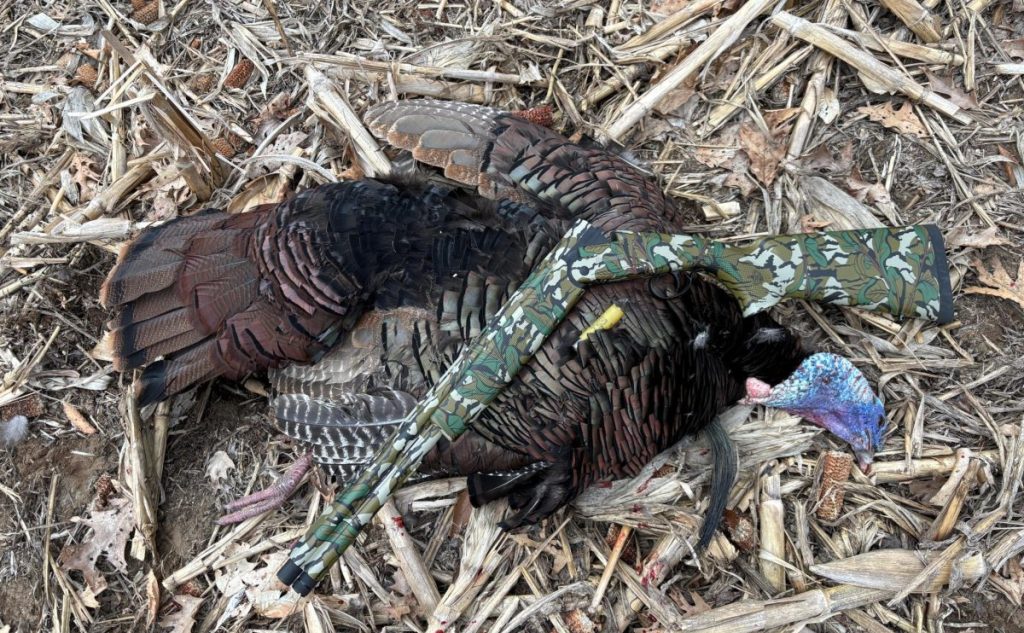 Mossberg Silver Reserve and turkey