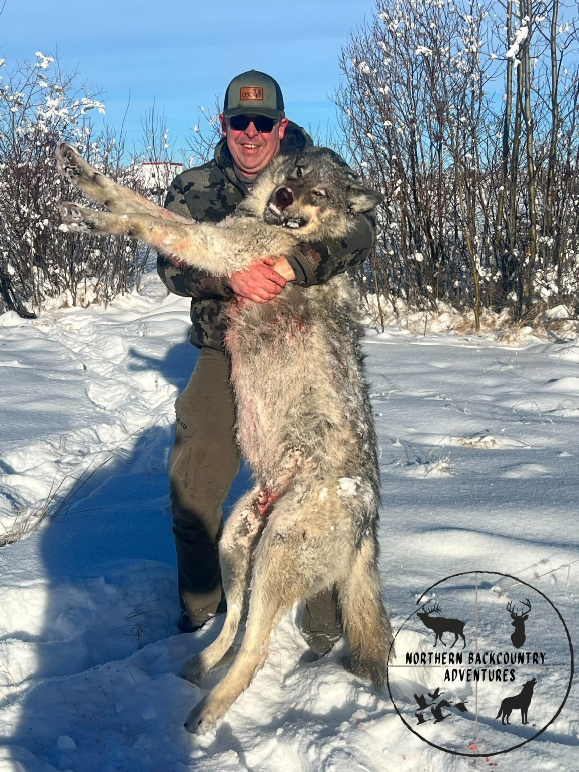 Alberta Wolf Hunting