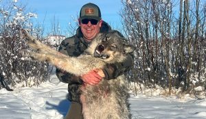 Alberta Wolf Hunting