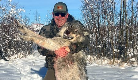 Alberta Wolf Hunting
