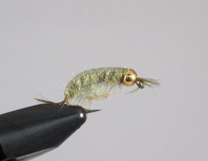 Bead head Scud fly for Coho