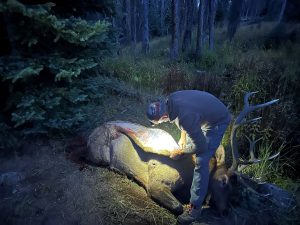 elk hunting kill kit 