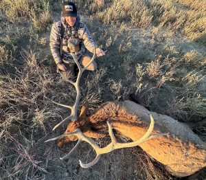 elk hunting success