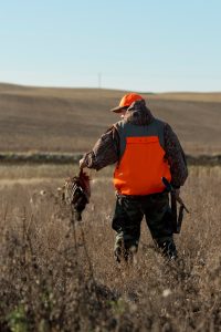 Pheasant hunter