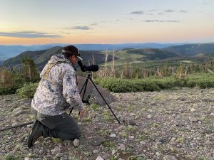 scouting for elk 