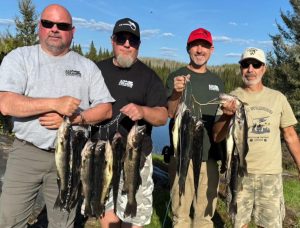 fisherman with a large stringer of walleye at The Chutes with Air Ivanhoe