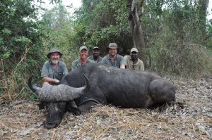 Hunters with Cape Buffalo